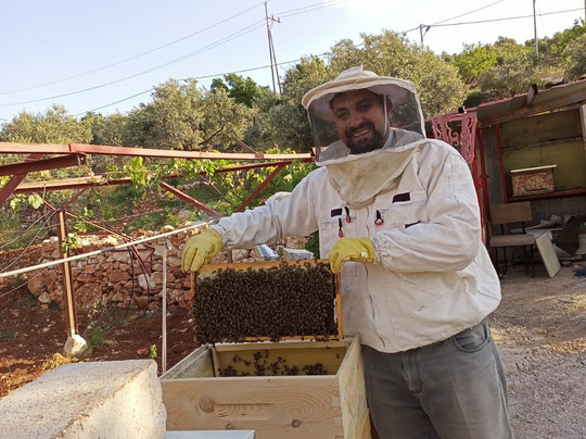 Simsem-塔尔图必去景点