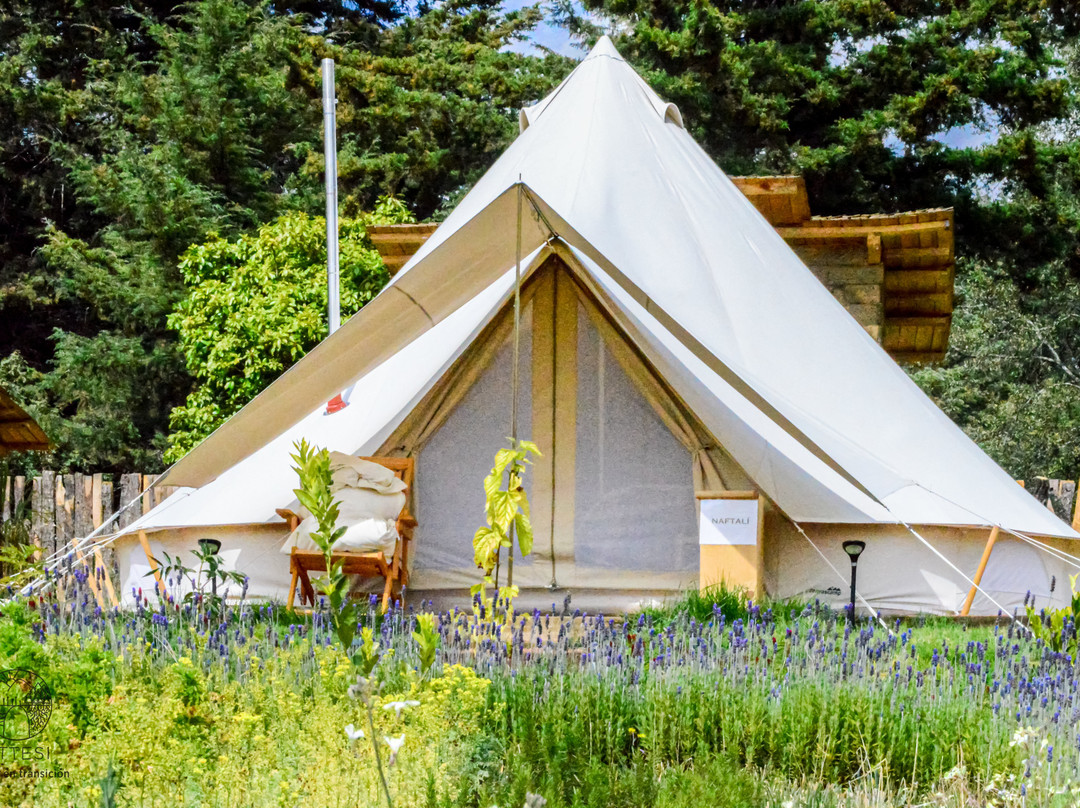 Attesi Lodge
