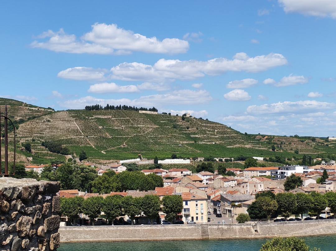 Château-musée De Tournon Sur Rhône-图尔农必去景点