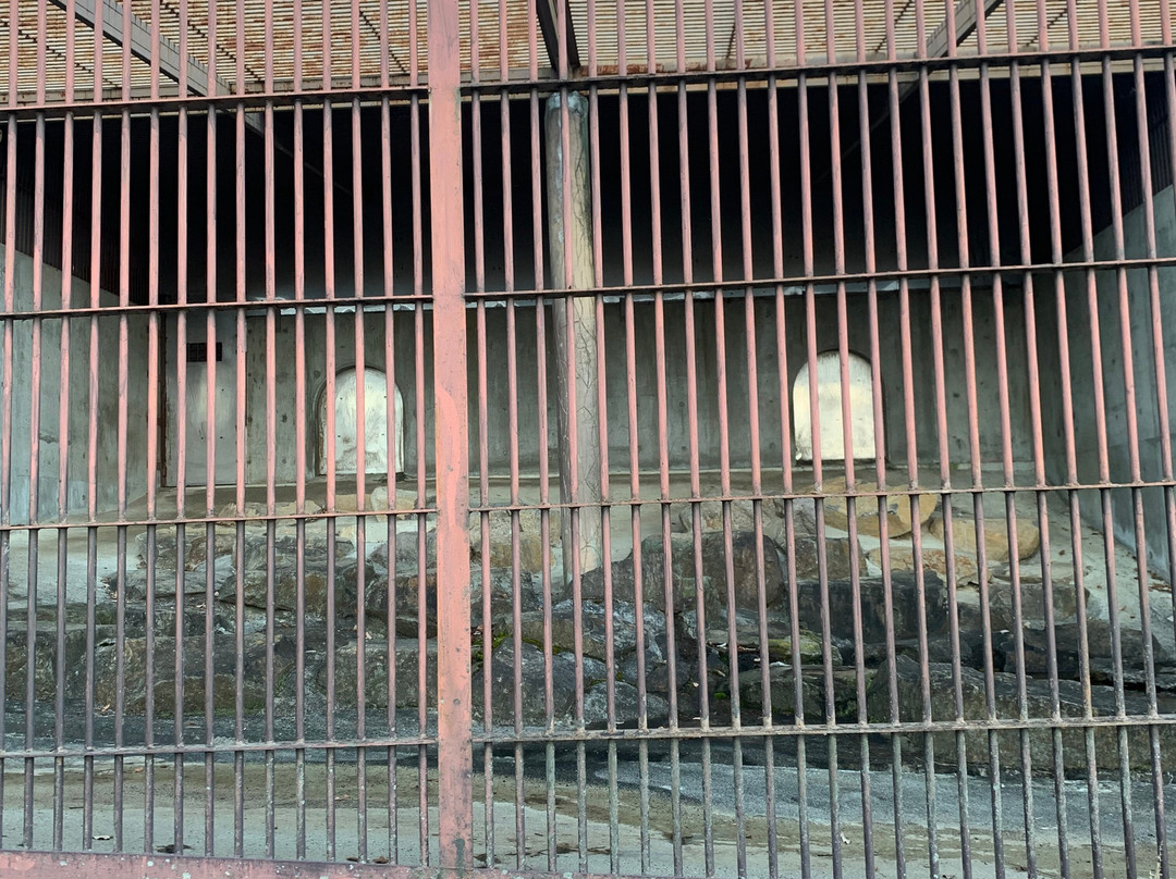 Tohoku Safari Park-二松本市必去景点