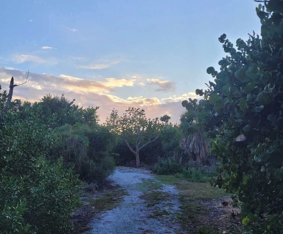 Quick Point Nature Reserve-长船礁必去景点