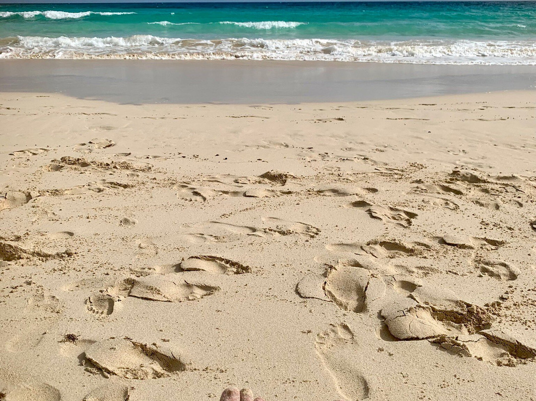 Grandes Playas-科拉雷侯必去景点