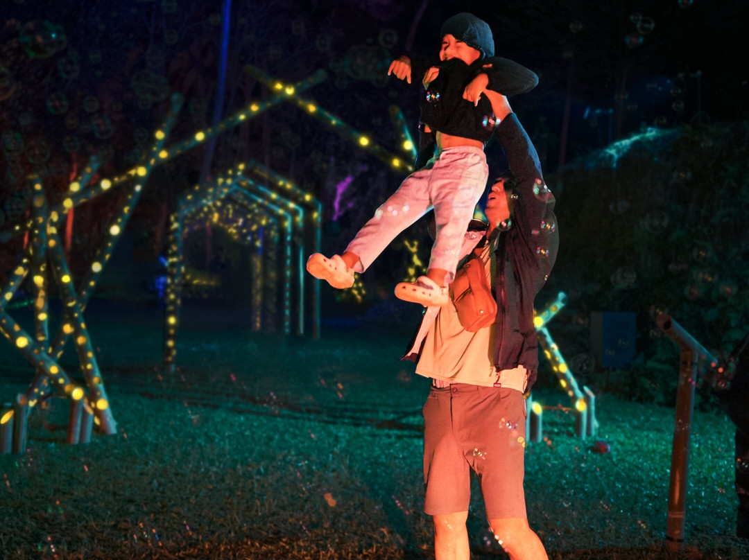 Hikaria: Bali's First Immersive Night Walk-Tegallalang必去景点