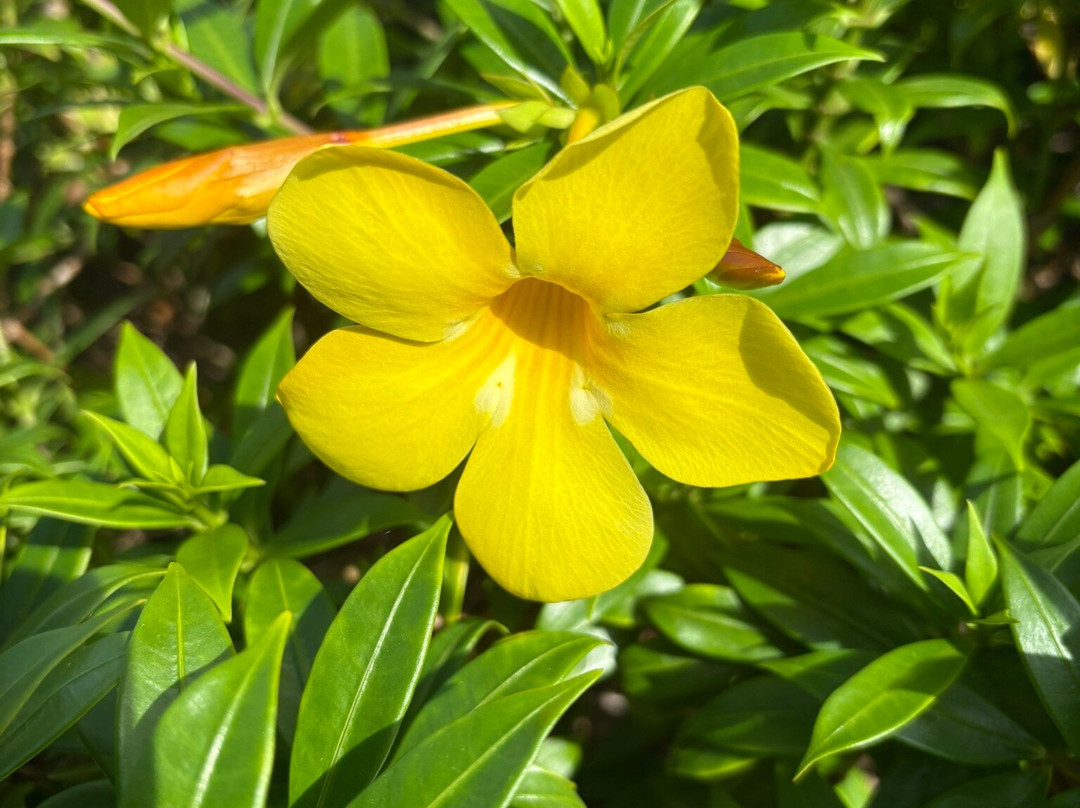 Costa Rica EZ Travel Adventures-Playa Flamingo必去景点