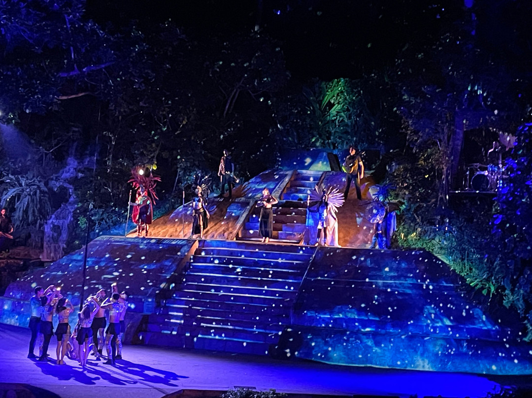 Rhythms of the Night by Vallarta Adventures-瓦拉塔港必去景点