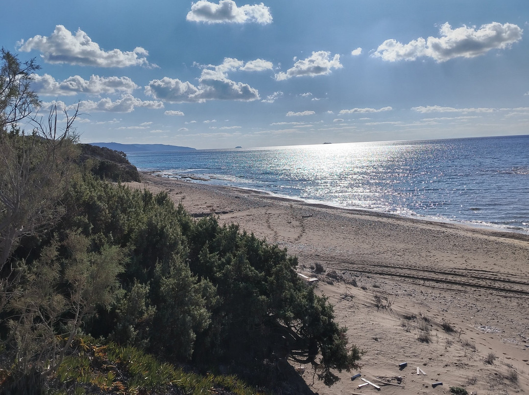 Limni Beach-Apolakkia必去景点