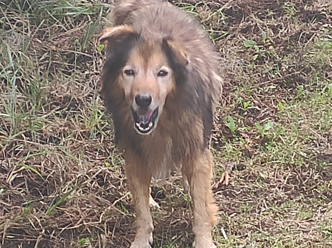 Riserva Naturale Le Cesine-Vernole必去景点