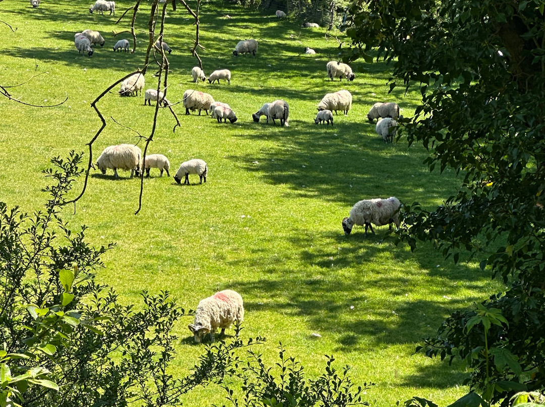 Waterford Greenway Bike Hire And Visitor Centre-沃特福德必去景点