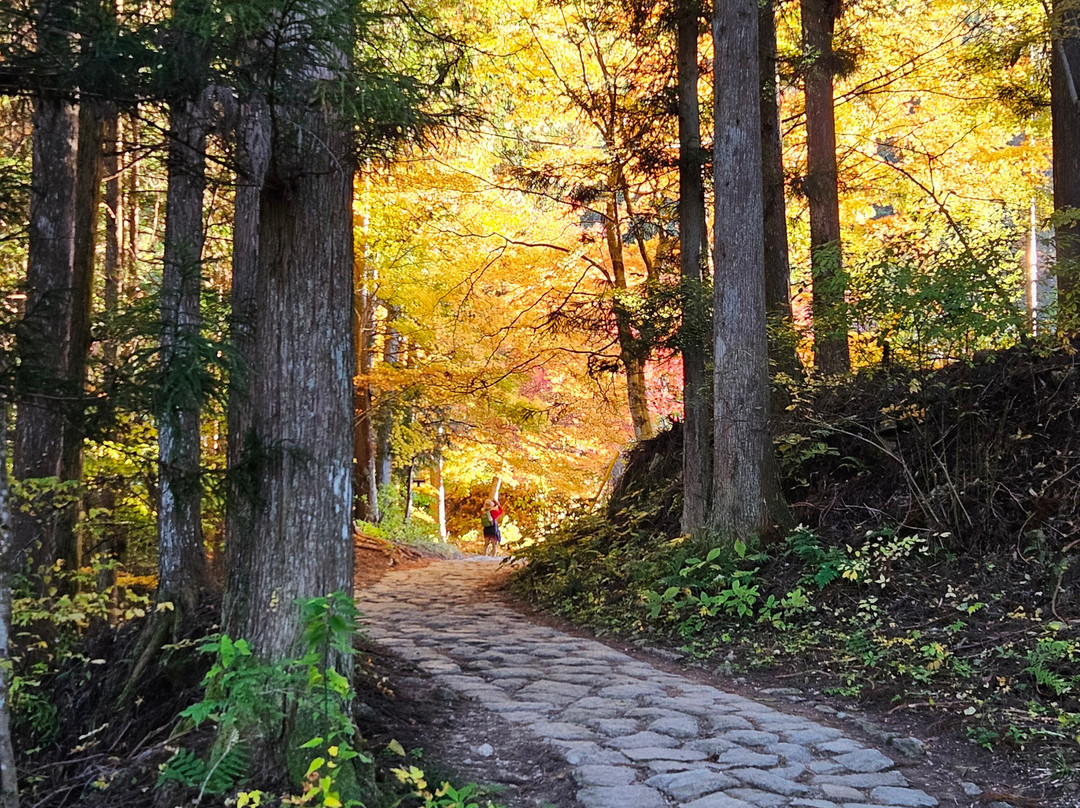 Kaido Roman Onyado Tsutaya主图