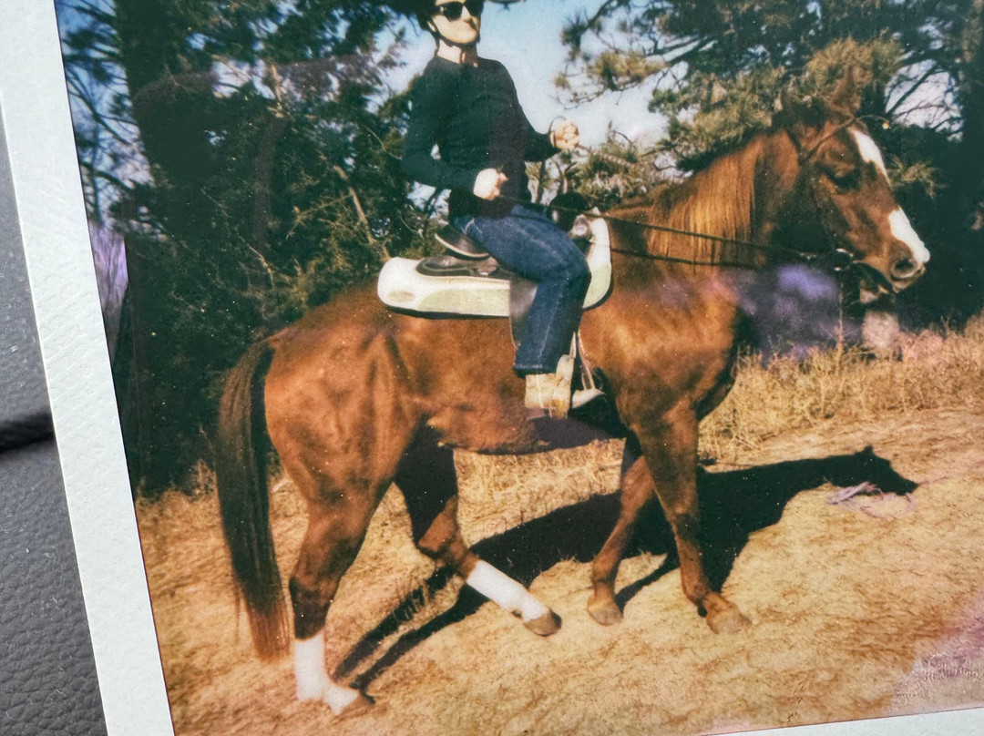 Christine's Horseback Riding-卡尼必去景点