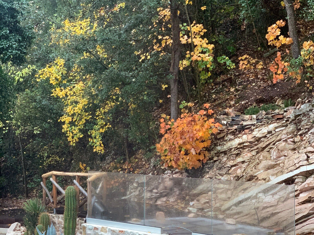 La Forestale Luxury Ecolodge主图