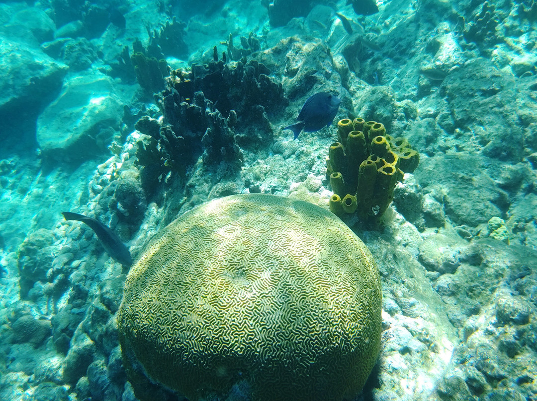 Gwada Pagaie-Bouillante必去景点