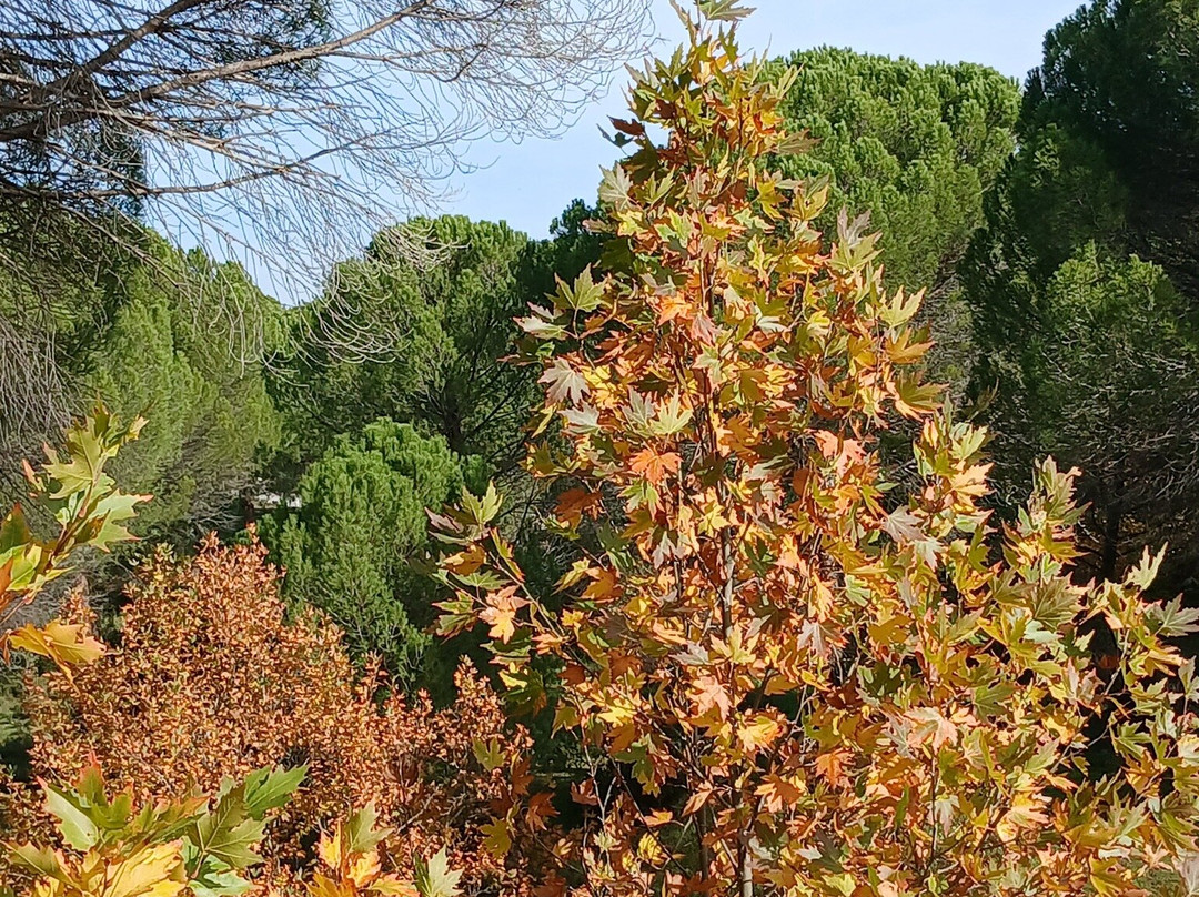 Madra Dağı-巴勒克西尔必去景点