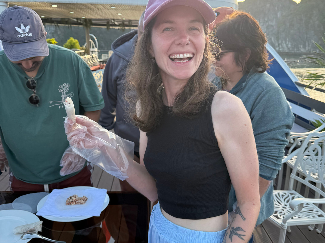 Aroma Viet Nam Travel-Cat Ba Town必去景点