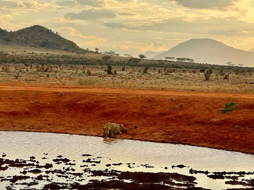 Boomtrail Tours And Travels-蒙巴萨必去景点