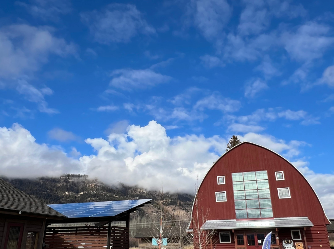 Teton Raptor Center-威尔逊必去景点
