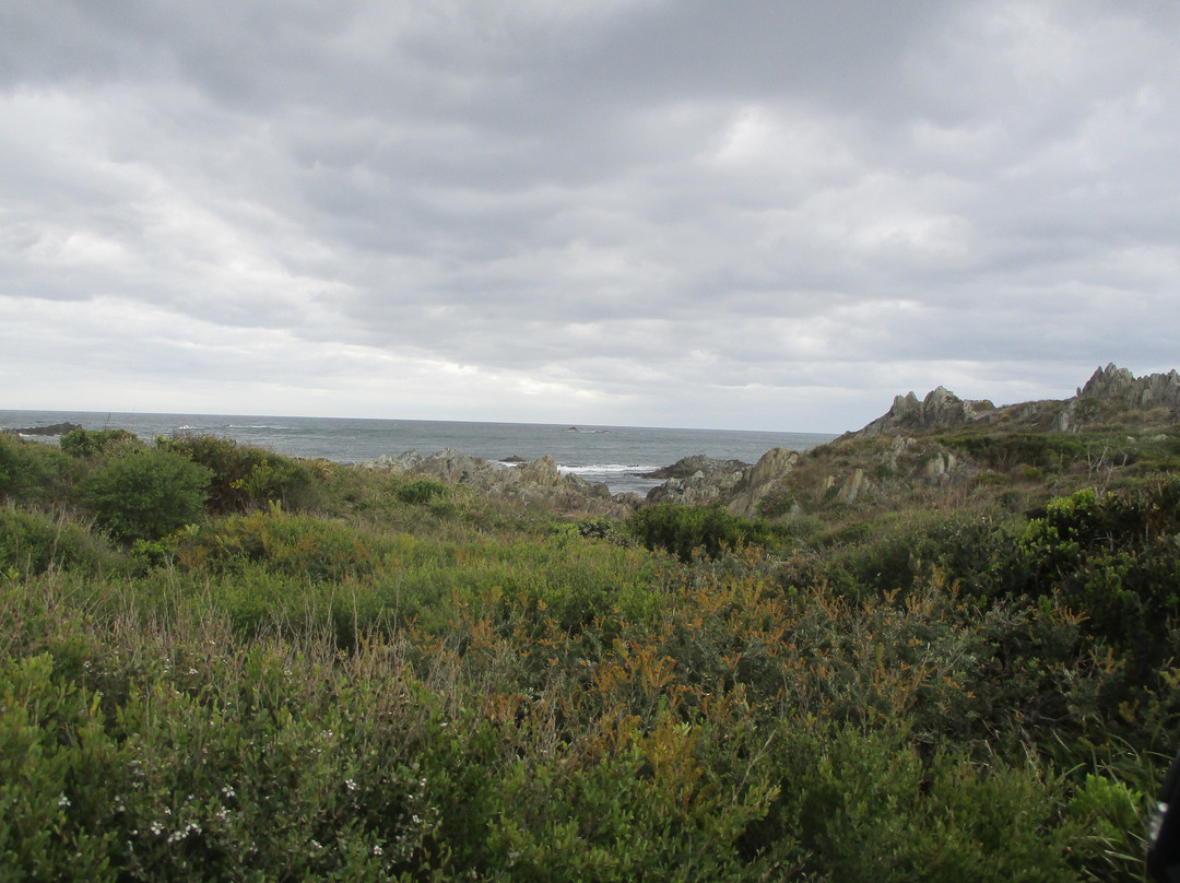 Arthur-Pieman Conservation Area-Arthur River必去景点