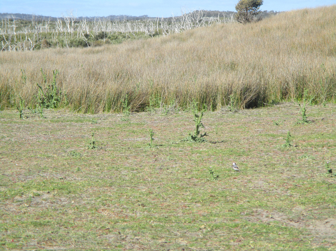 Sundown Point-Arthur River必去景点