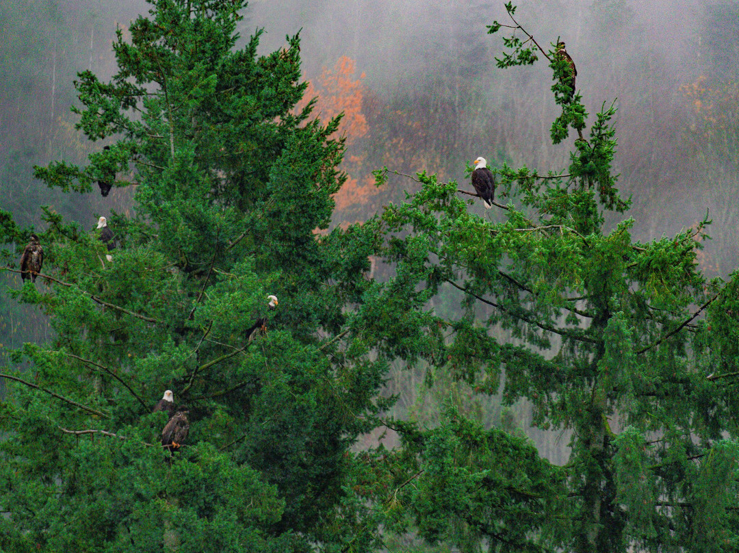 Shoreline Tours-哈里逊温泉必去景点