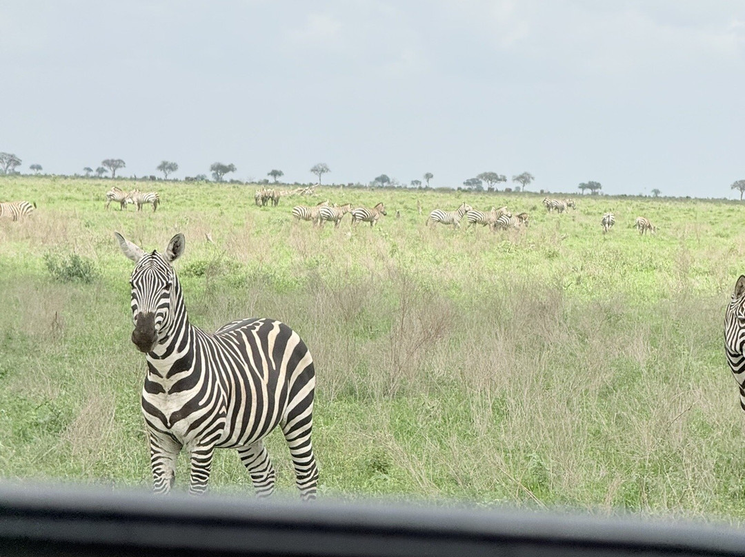 Discovery Kenya con Fragola-瓦塔木必去景点