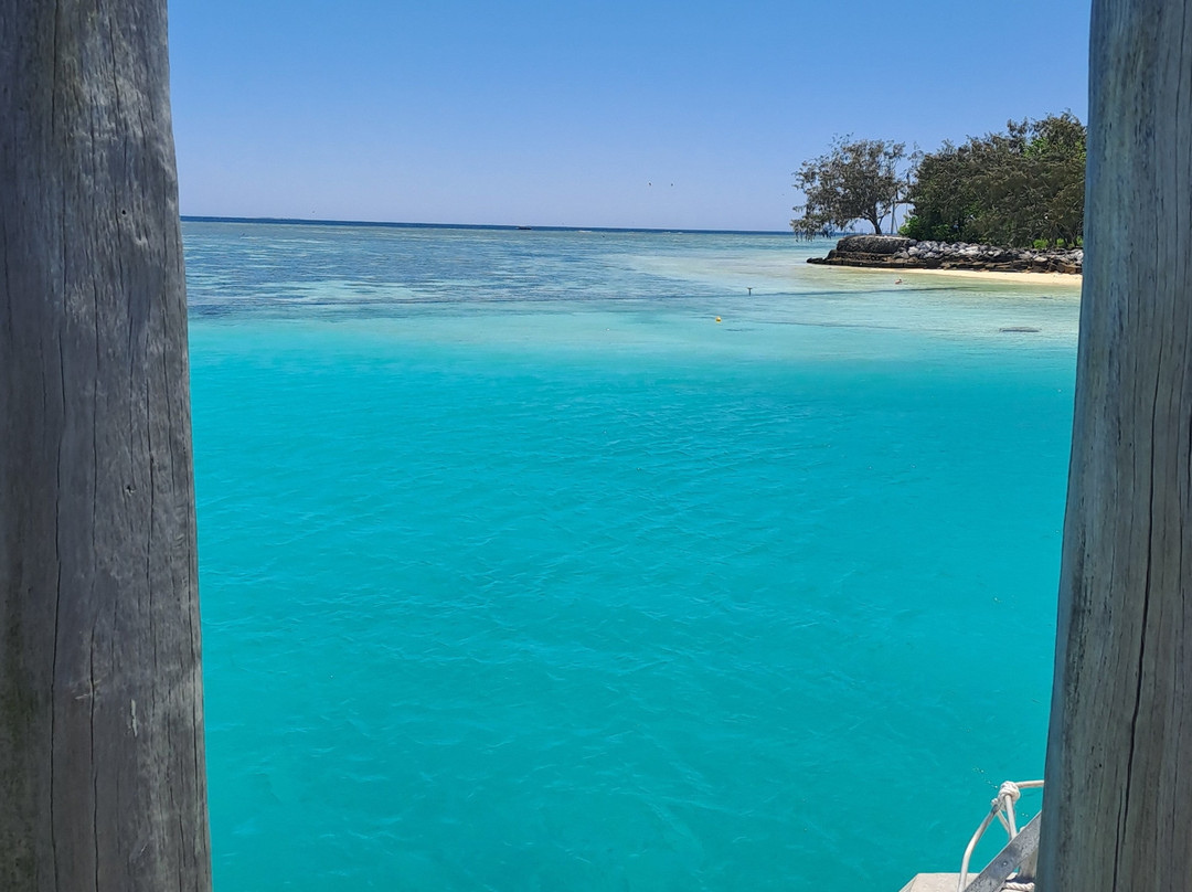 Gladstone Region Tours-Gladstone必去景点