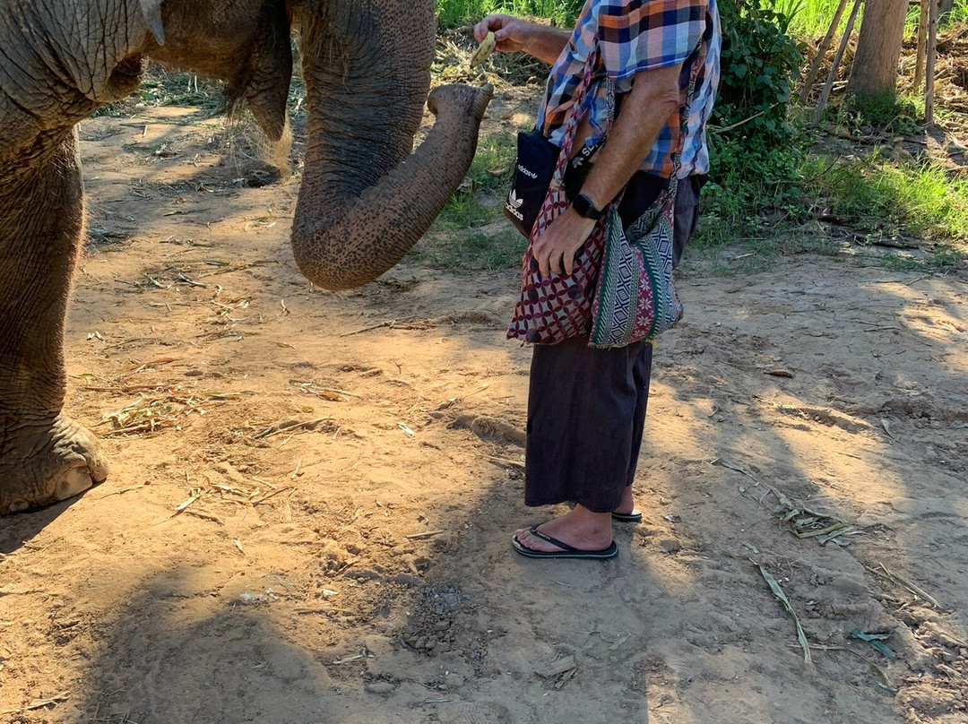 Maerim Elephant Sanctuary-夜林必去景点