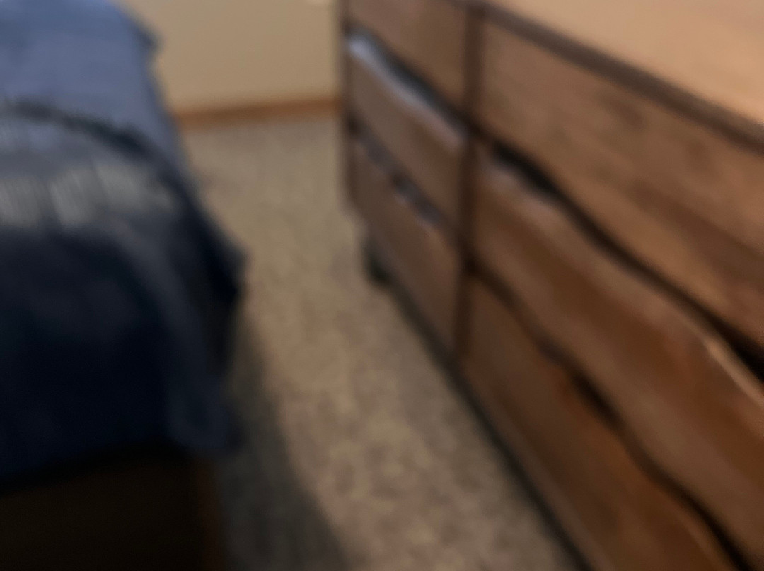 Wilderness at the Smokies-塞维尔维尔必去景点