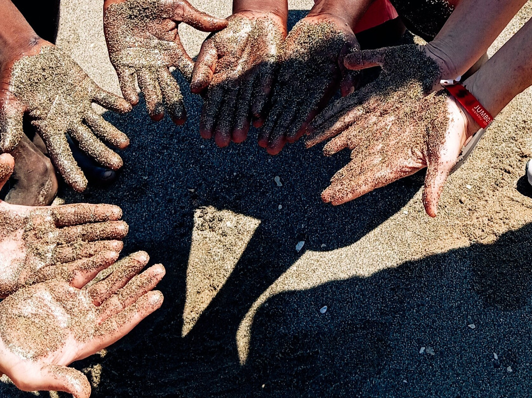 Giornale Kenya Safari - Day Tours-瓦塔木必去景点