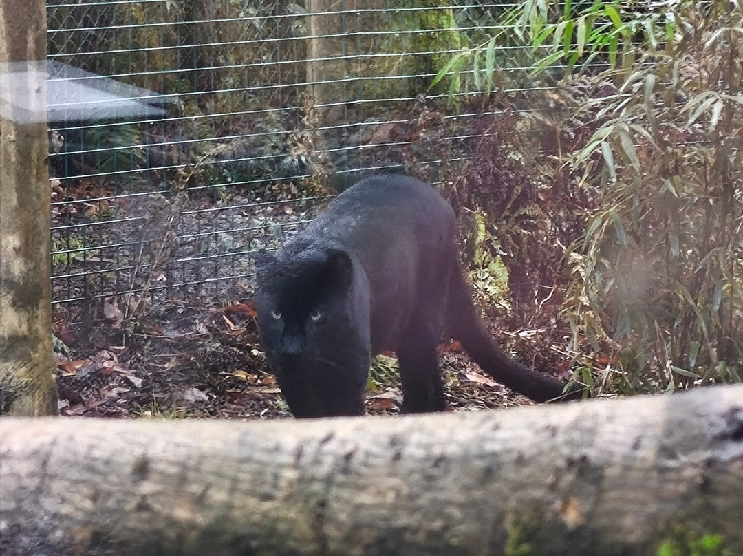 Exmoor Experience-Allerford必去景点