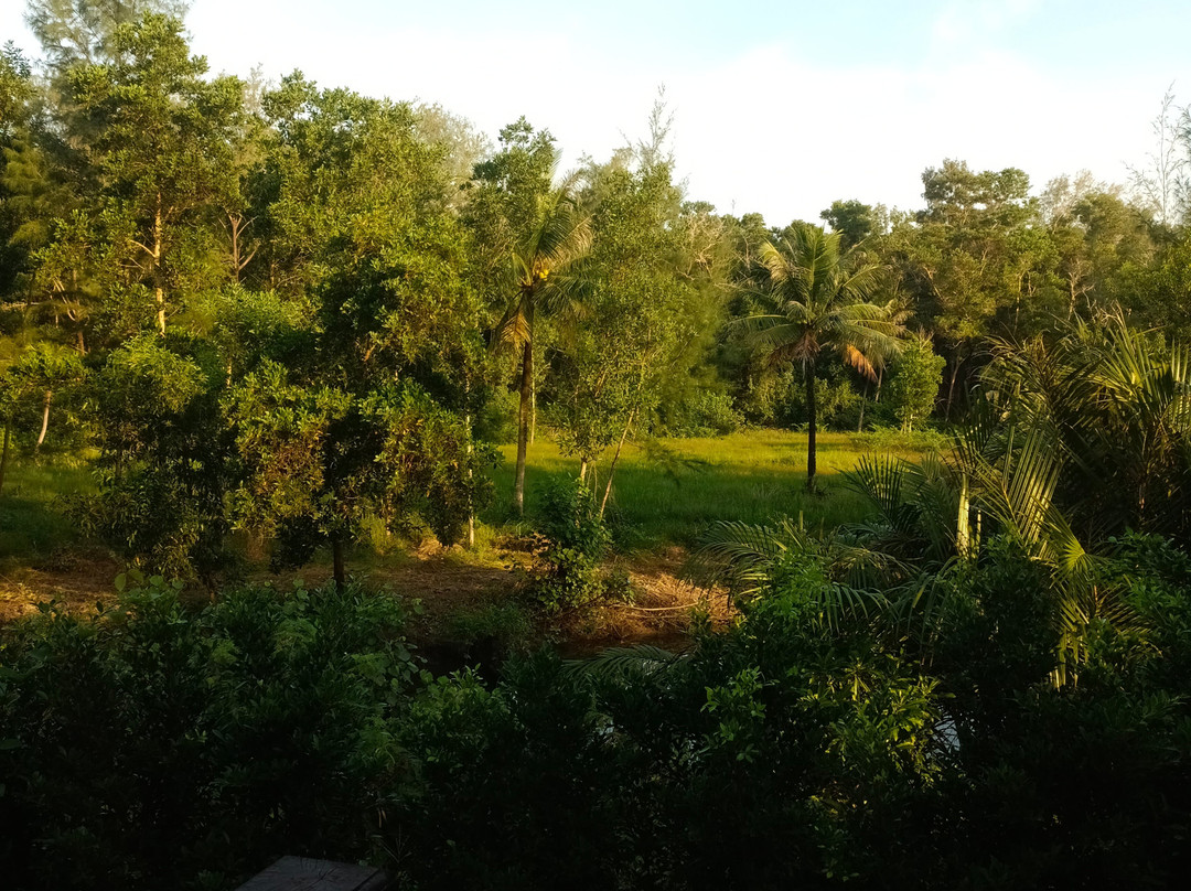 温泉海滩度假村主图