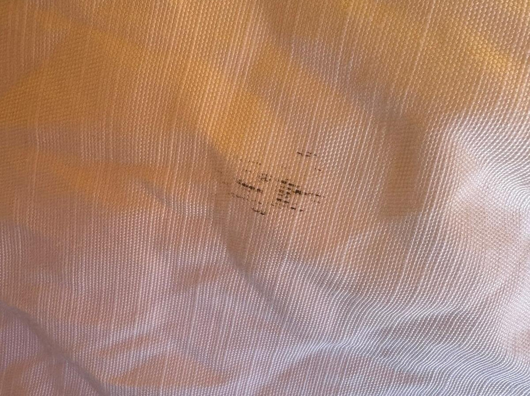 Podere degli Olmi-Foiano della Chiana必去景点