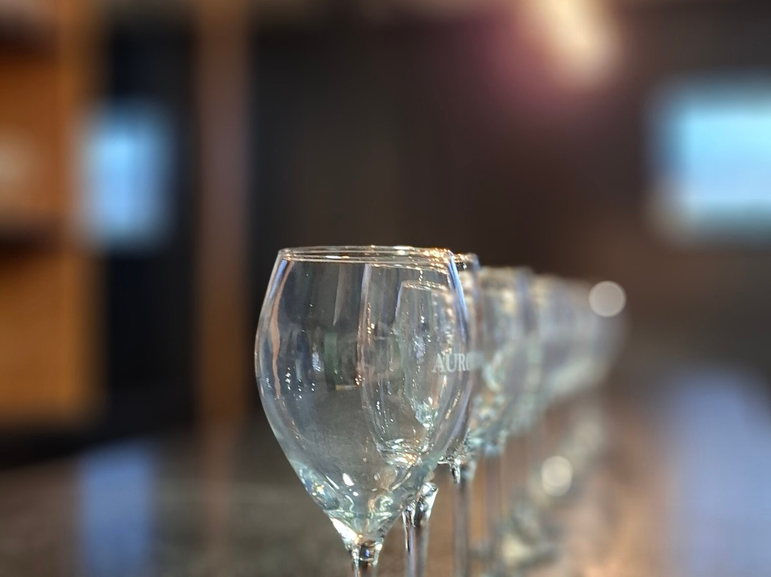 Aurora Winery-本图贡萨尔维斯必去景点