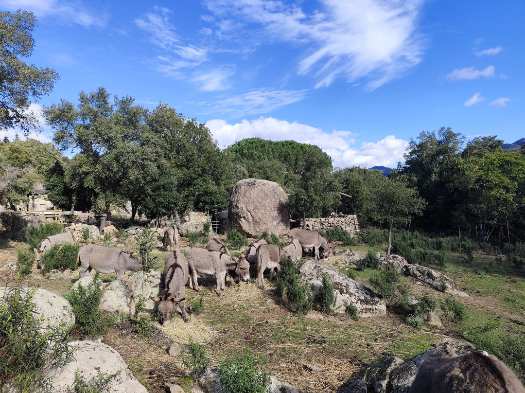 Is Burriccheddus-Burcei必去景点