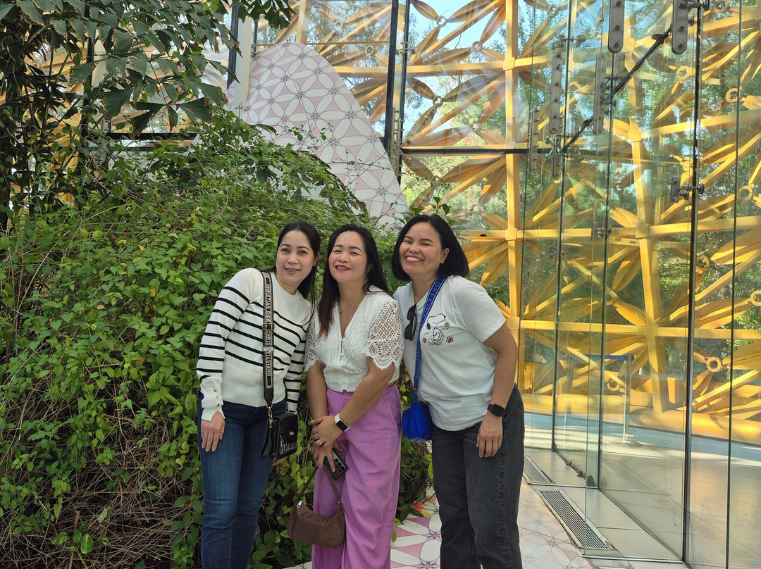 Al Noor Island-沙迦必去景点