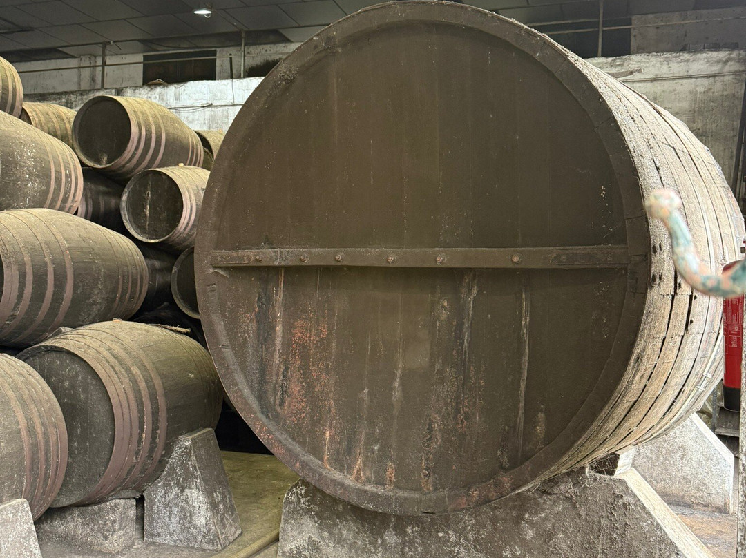 Bodegas Barbadillo-Sanlucar de Barrameda必去景点