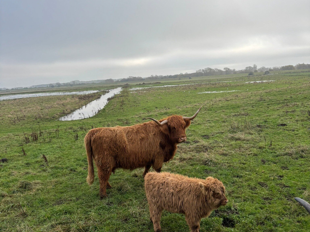 Dumble Farm-比弗利必去景点