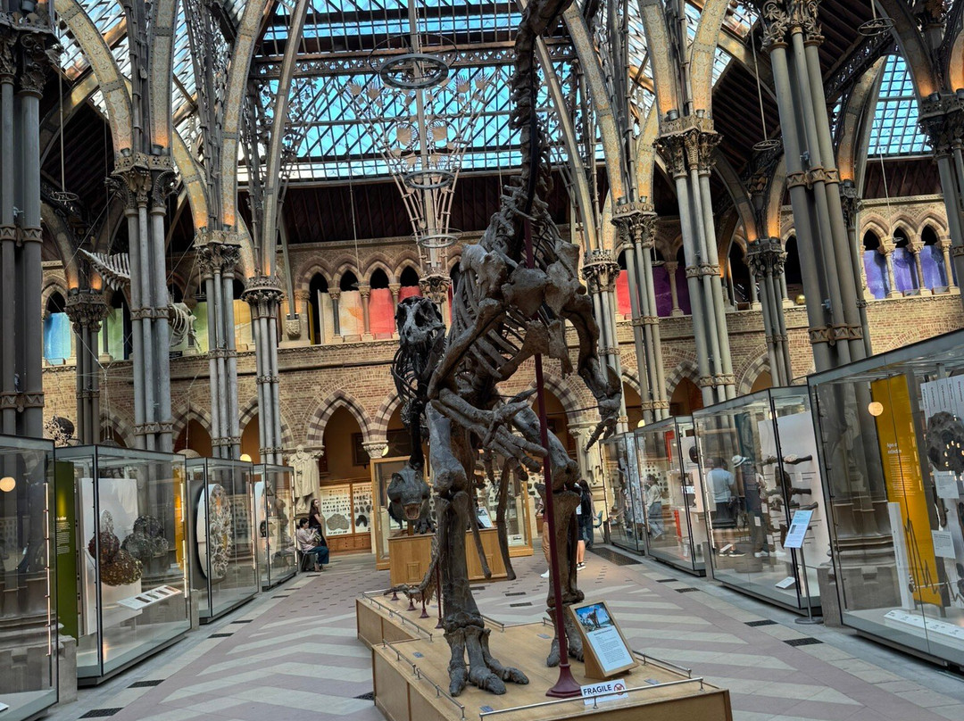 牛津大学自然历史博物馆-牛津必去景点