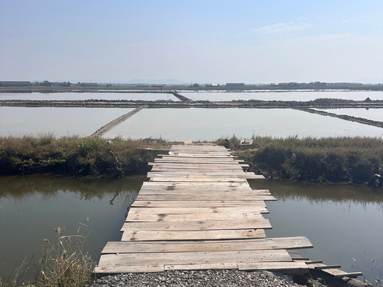Bou's Kampot Adventures-贡布必去景点