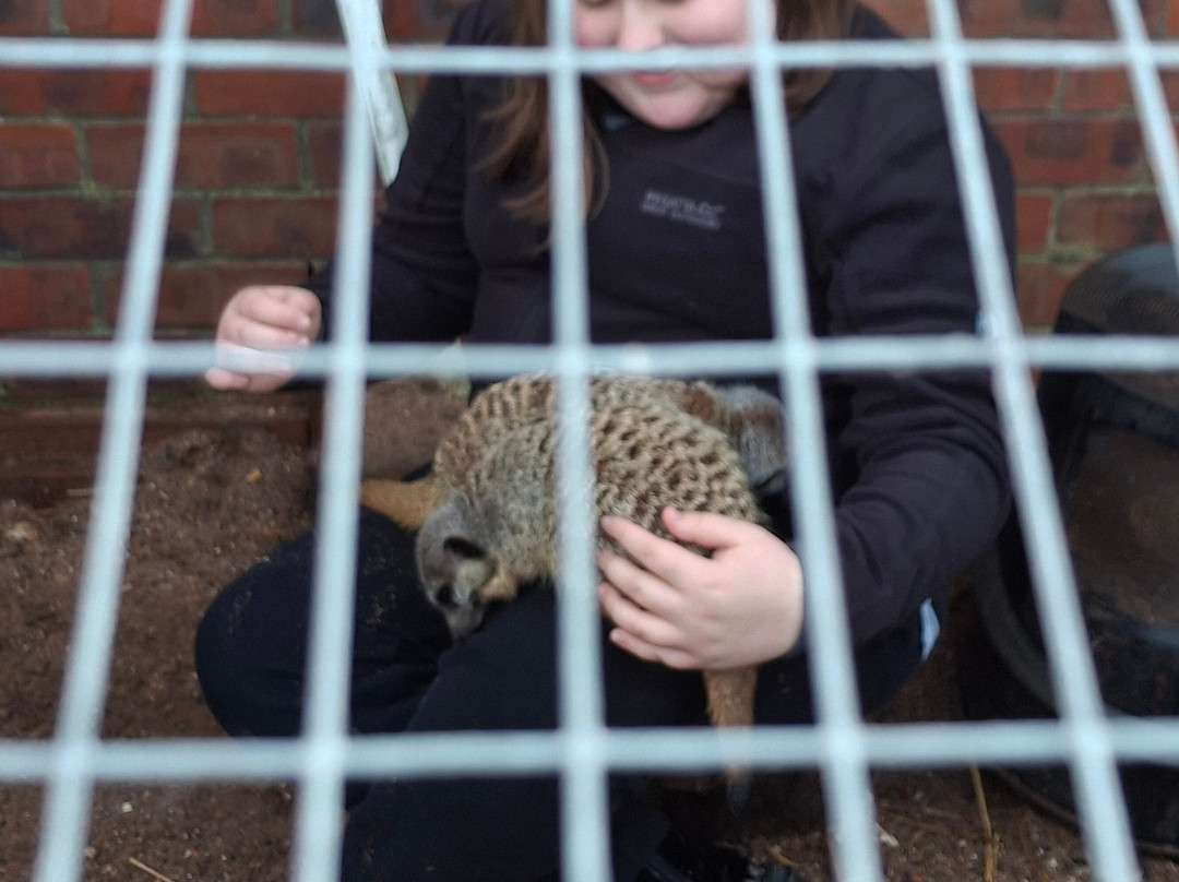 Ark Wildlife Park & Exotic Animal Sanctuary-Stickney必去景点