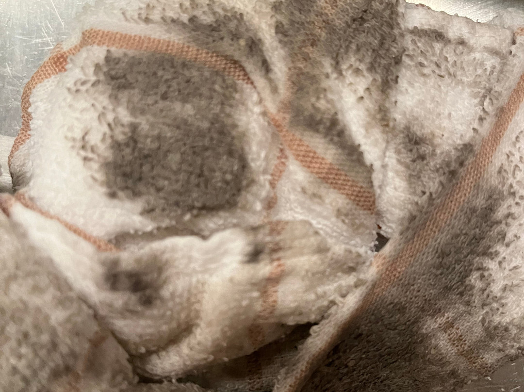 Residence Inn La Quinta主图