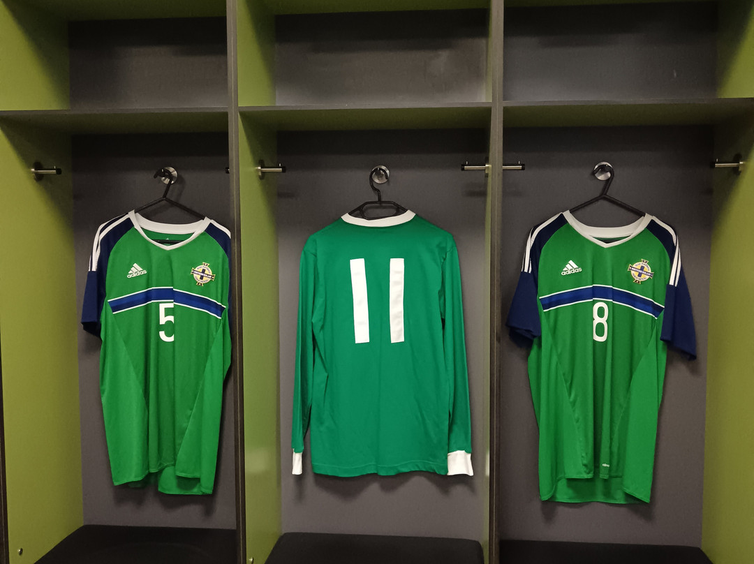 Irish FA Tours-贝尔法斯特必去景点