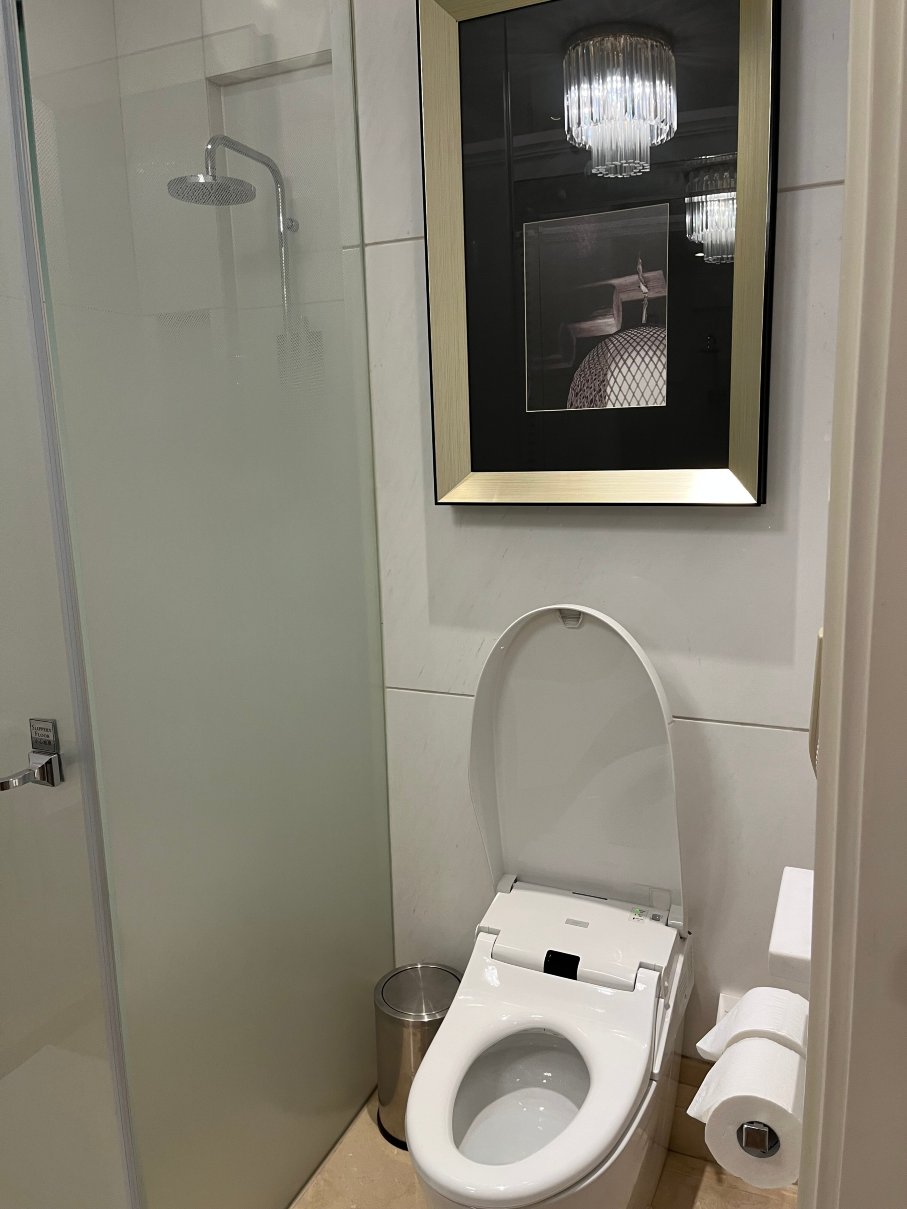 成都瑞吉酒店-浴室