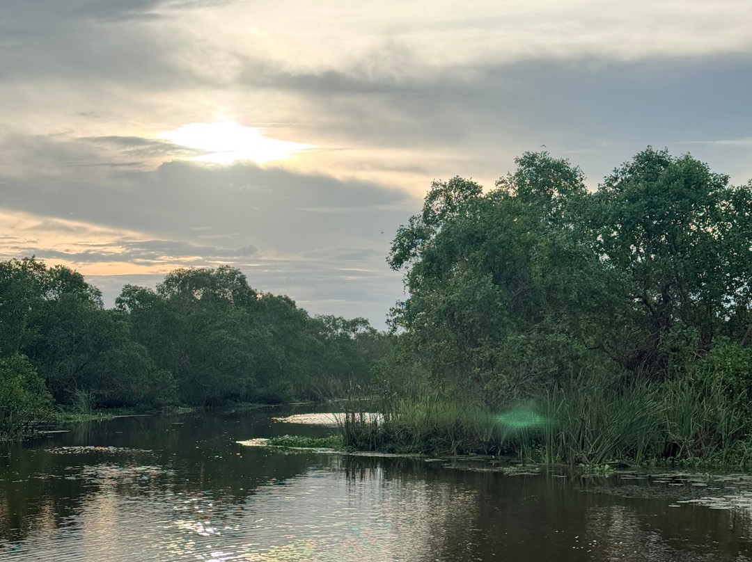 Kalametiya Bird Watching & Ecotourism-Kalametiya必去景点