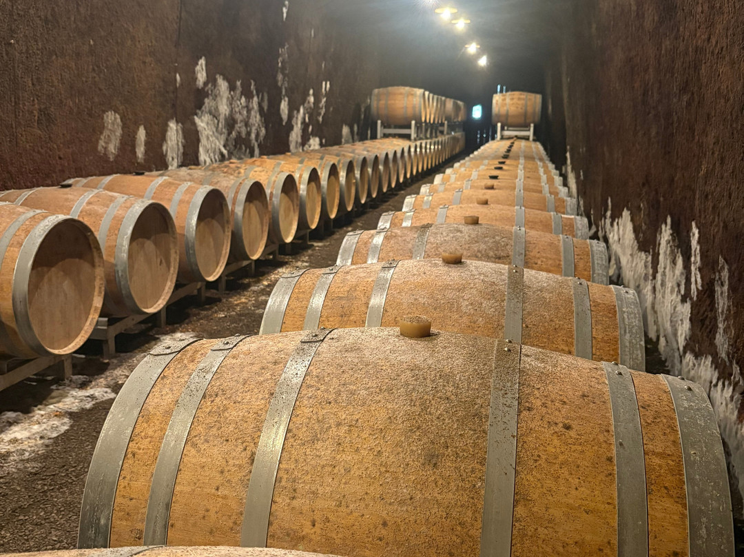 Decugnano dei Barbi-奥尔维耶托必去景点