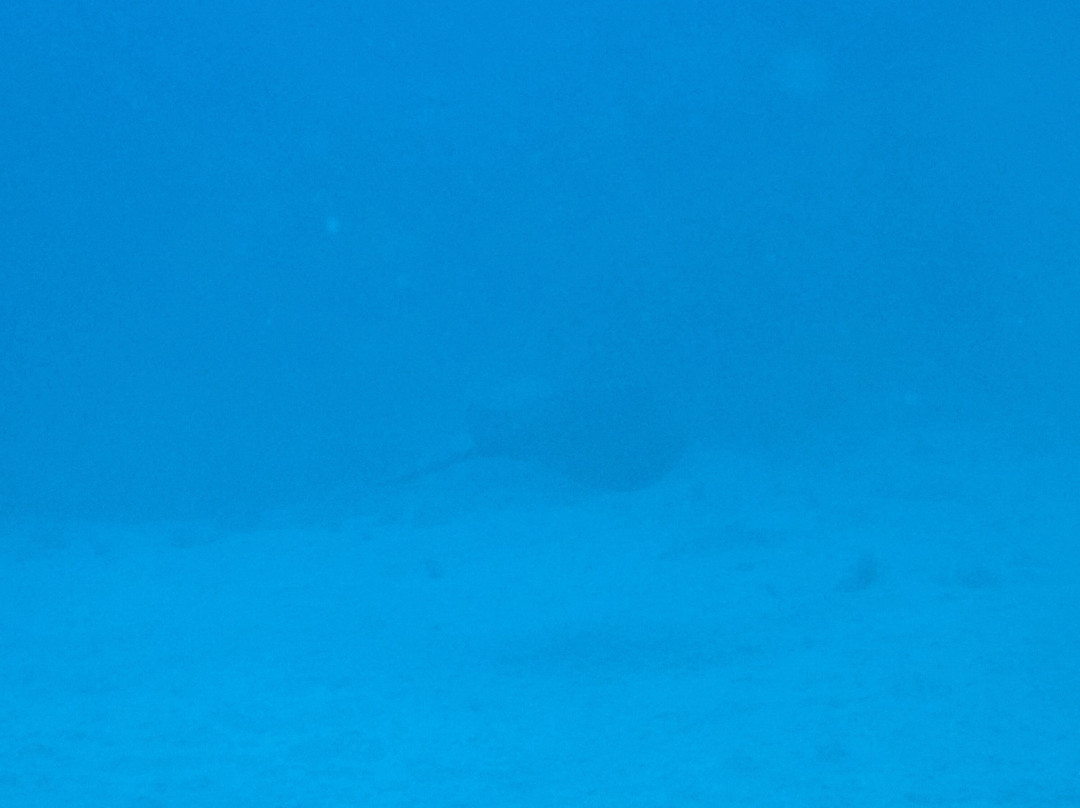 Puerto Rico Diving-波多黎各必去景点