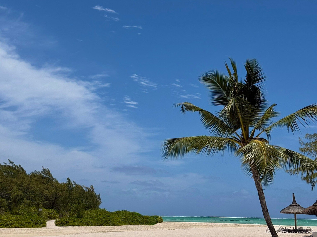 Croisières Australes-大湾必去景点