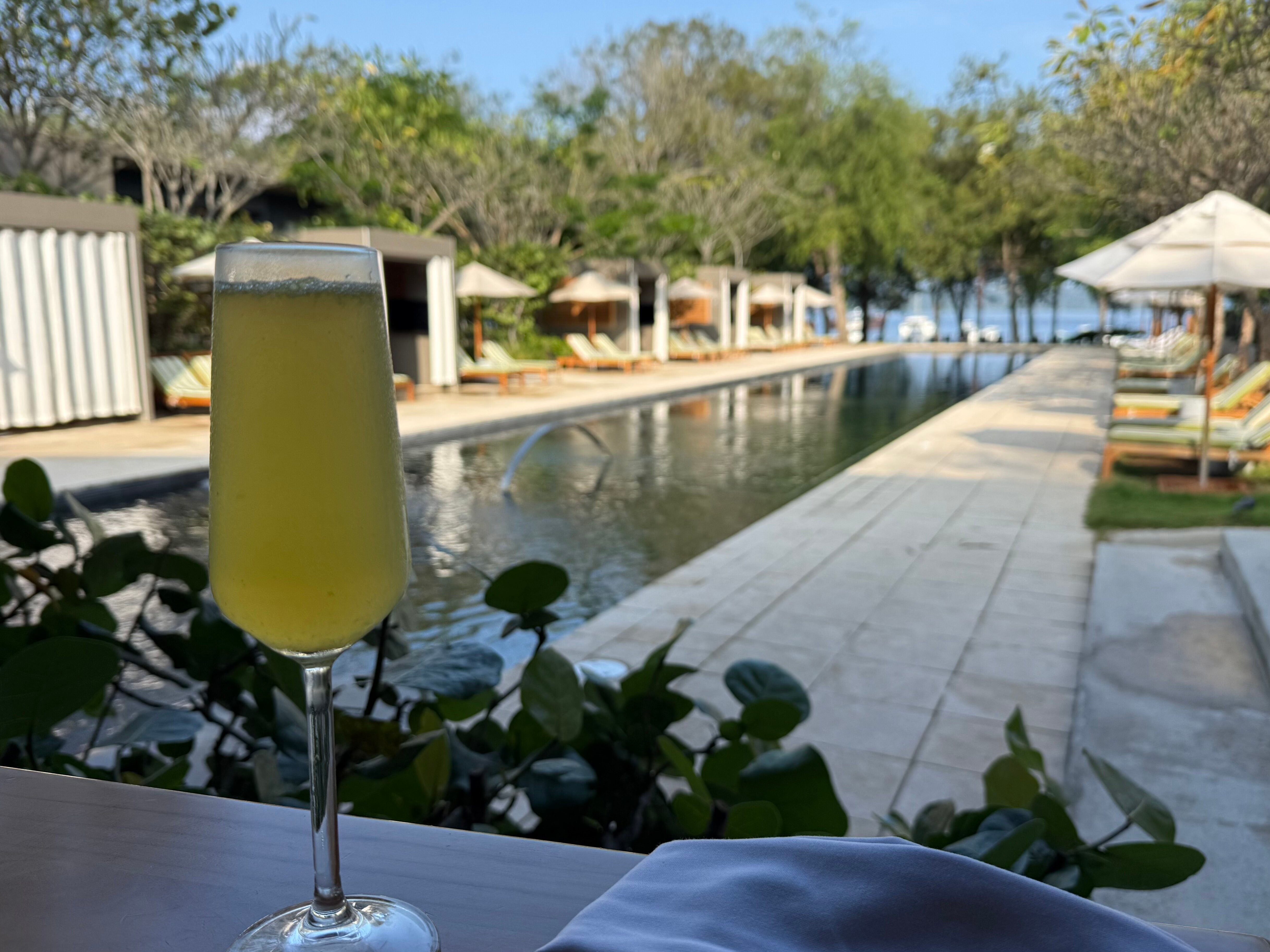 El Mangroove, Autograph Collection-泳池