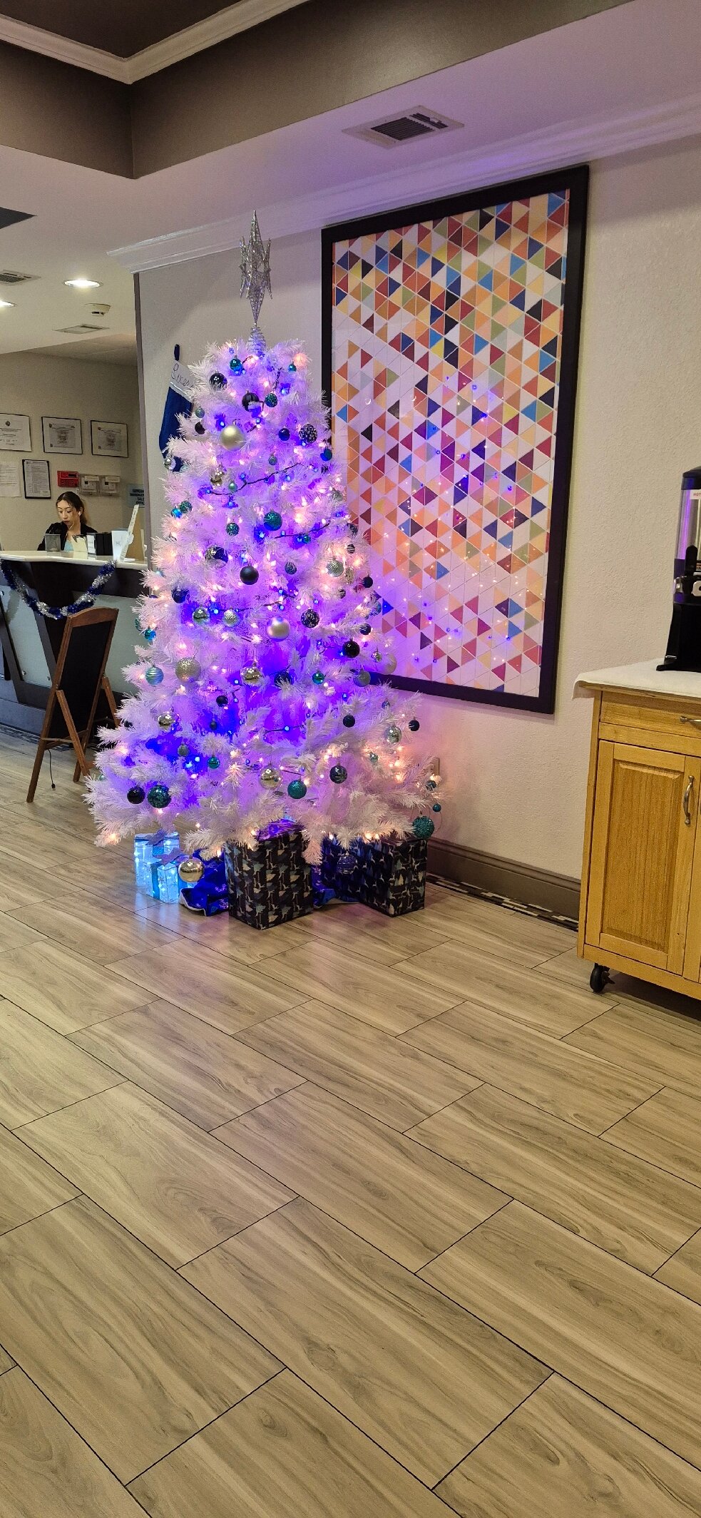 Holiday Inn Express & Suites Live Oak by IHG-官方