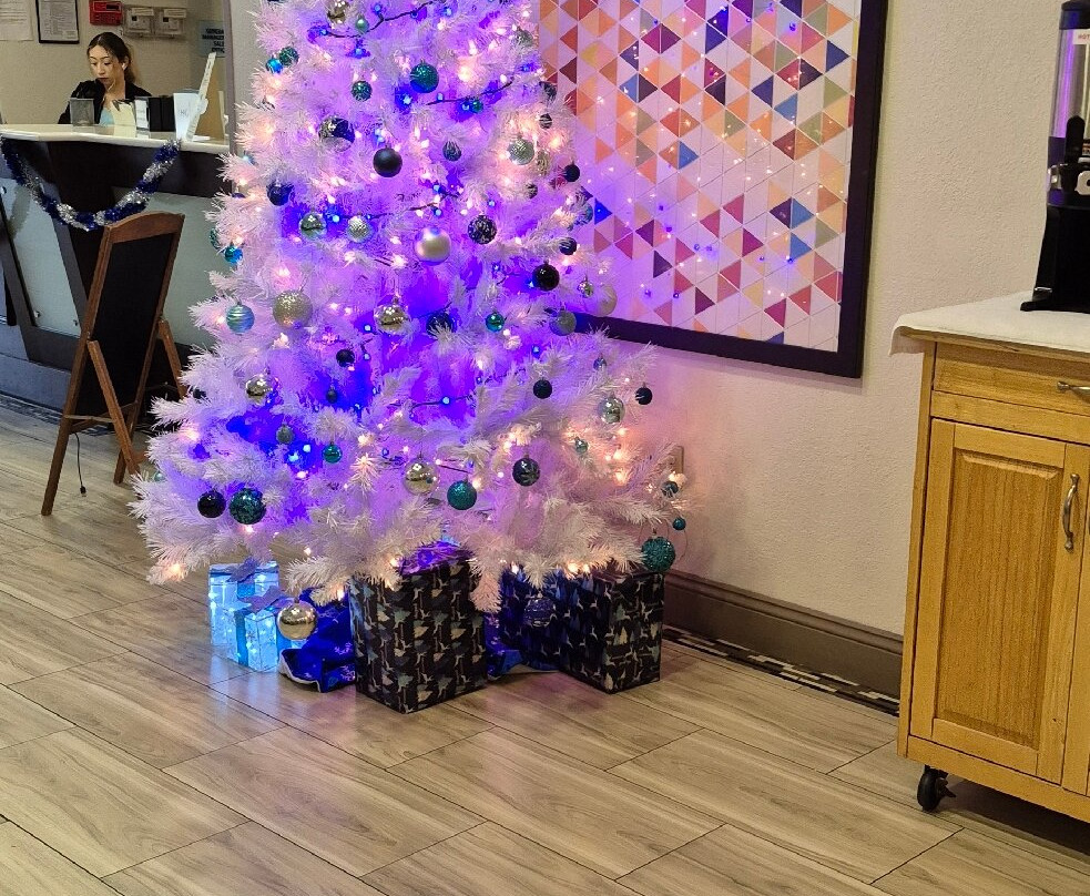 Holiday Inn Express & Suites Live Oak by IHG主图