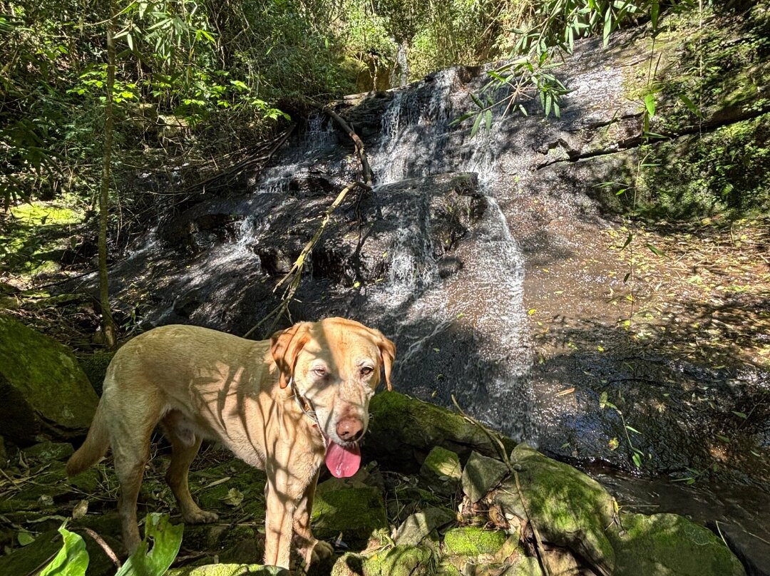 Cascata Fortaleza-Nova Petropolis必去景点